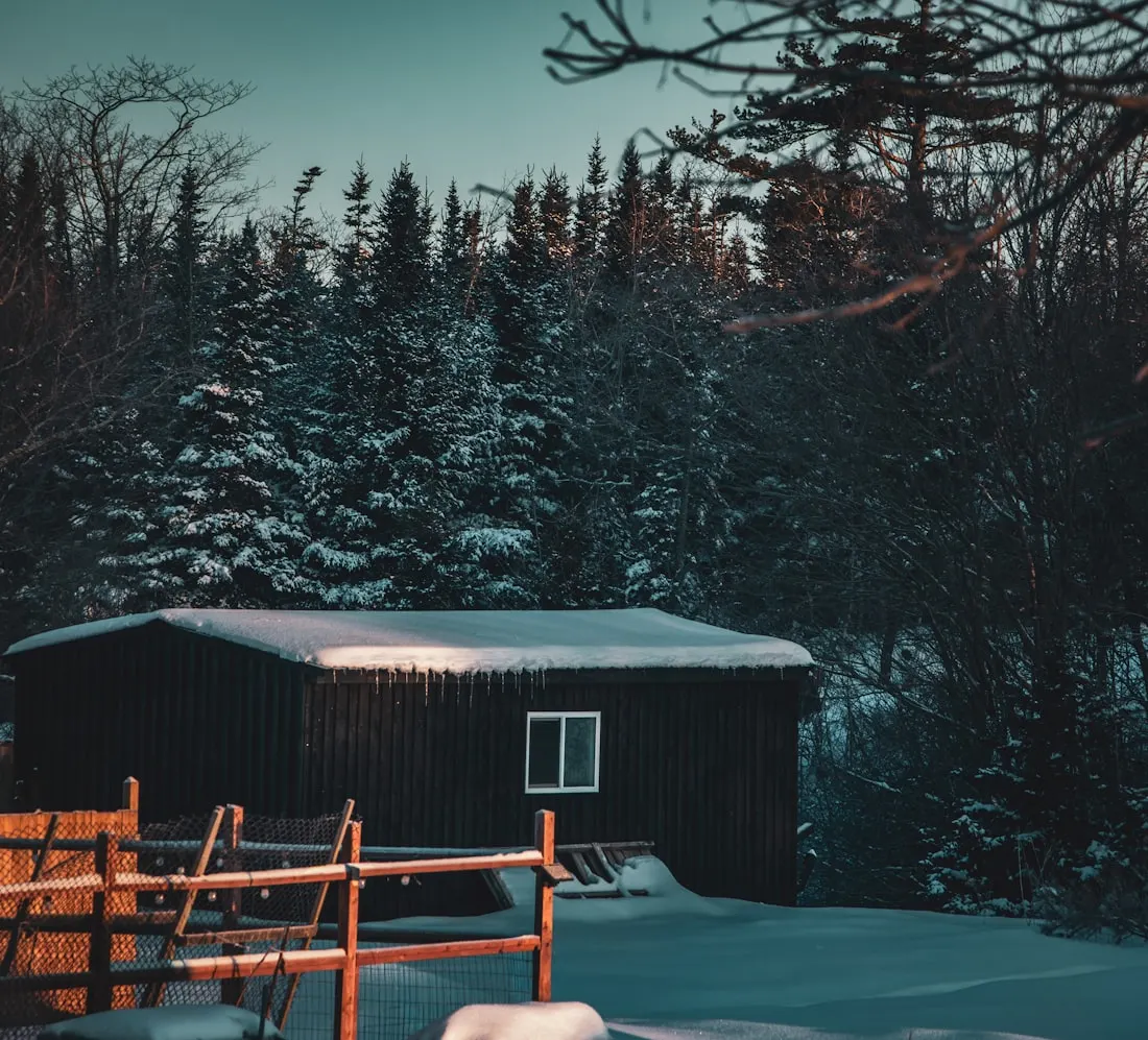 Dark timber sauna cabin in snow